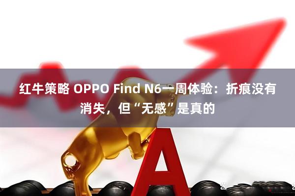 红牛策略 OPPO Find N6一周体验：折痕没有消失，但“无感”是真的