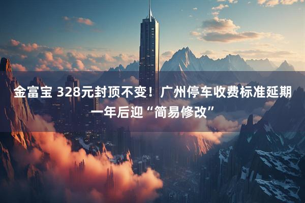 金富宝 328元封顶不变！广州停车收费标准延期一年后迎“简易修改”